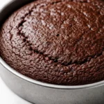 Moist super simple chocolate cake for Dad with rich chocolate frosting, topped with colorful sprinkles, sliced on a plate.